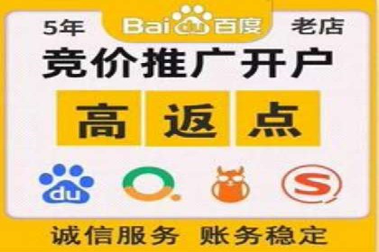 案例分析：打造高效竞价推广策略